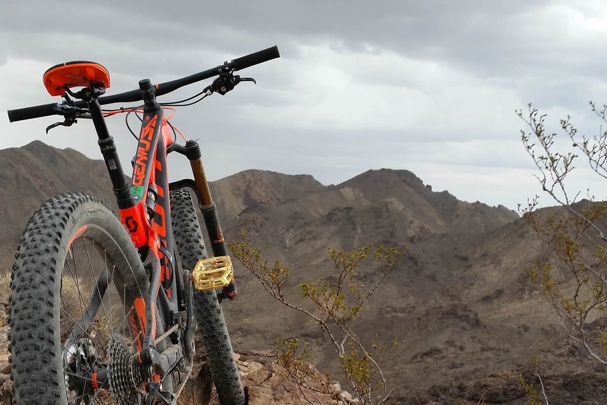 hostel drago tenerife canarian bike