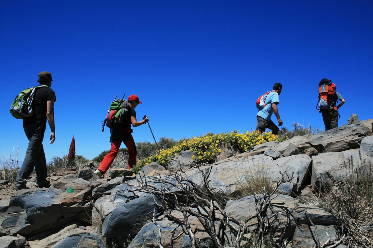 hostel drago tenerife canarian trekking