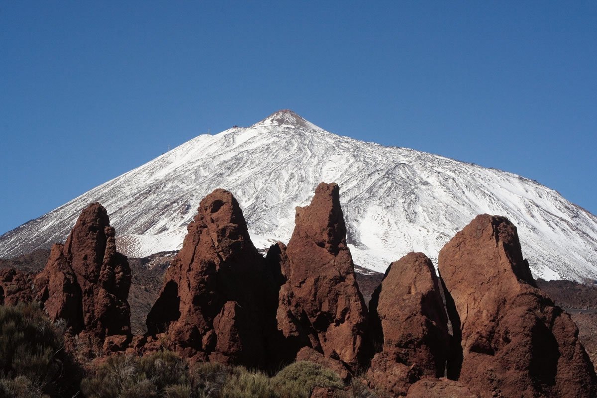 hostel drago tenerife canarian volcanic